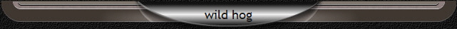 wild hog